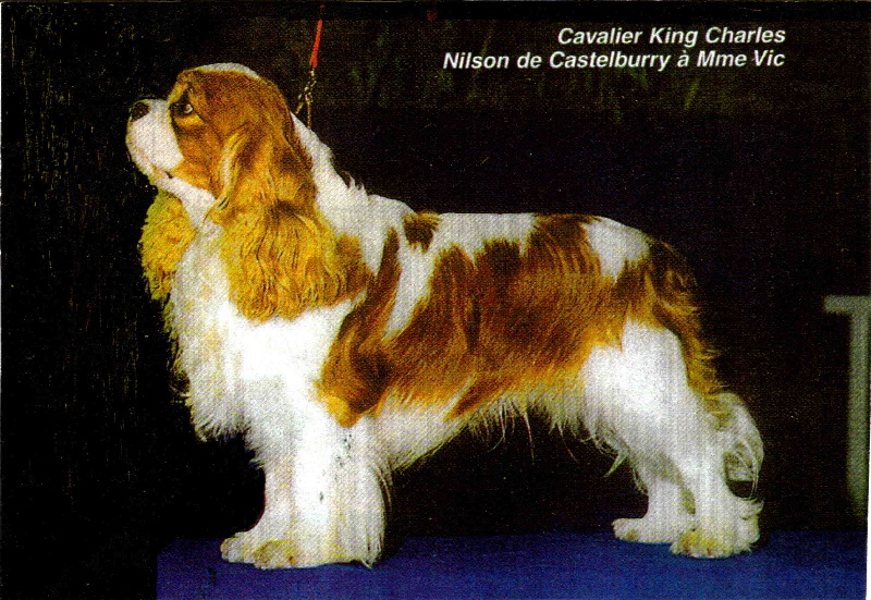 CH. Nilson de Castelburry