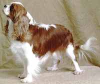 Romance de Castelburry