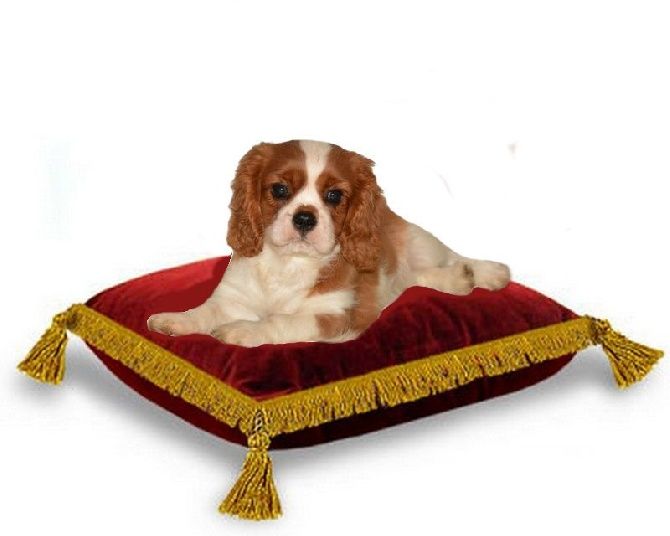 Loverdose de Castelburry